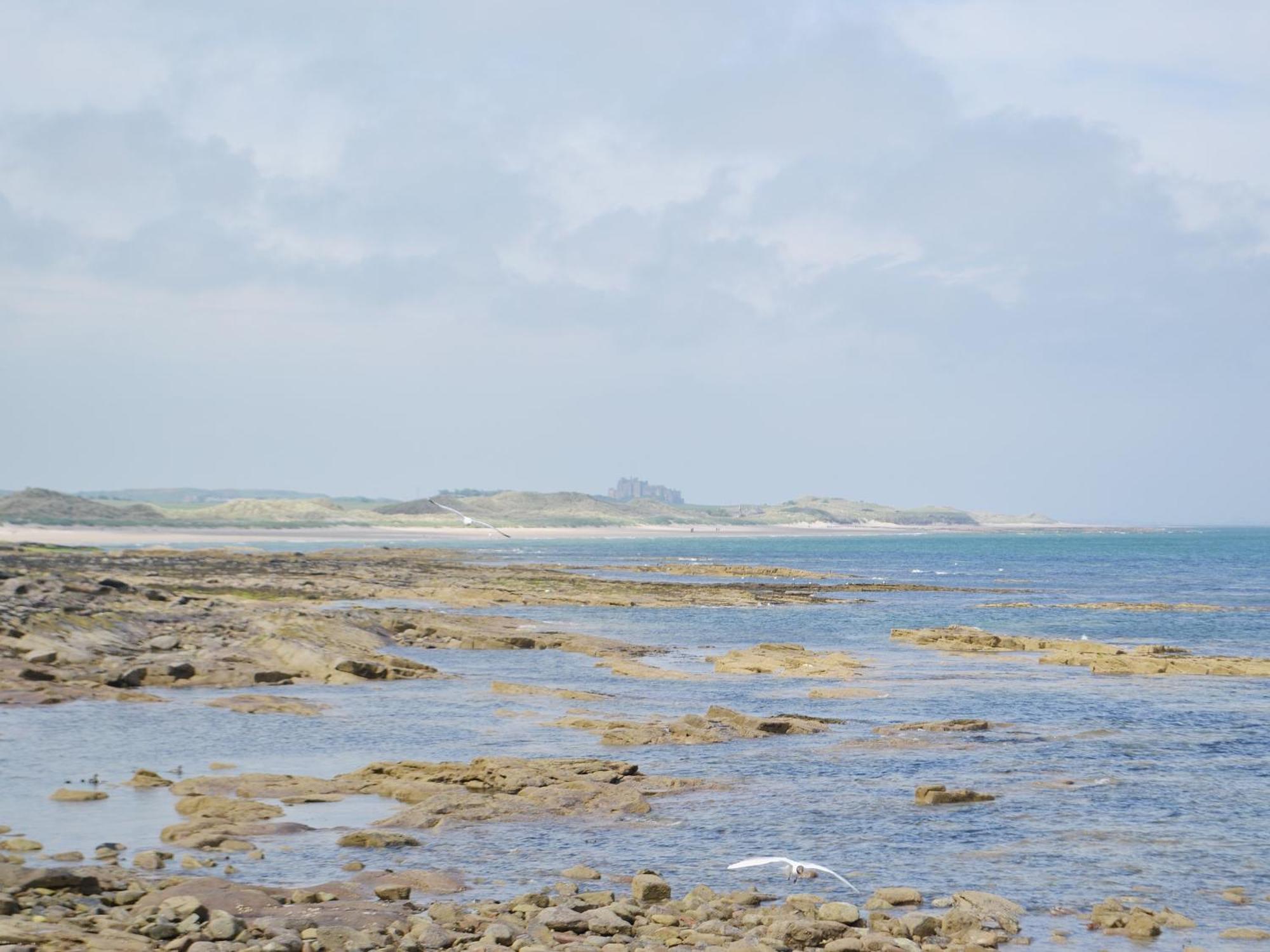 Erskine Cottage Seahouses Esterno foto